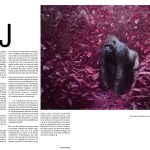 Print simple page magazine Déclic